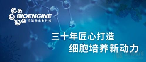 專注細(xì)胞治療領(lǐng)域的倍諳基生物科技獲逾億元b 輪融資