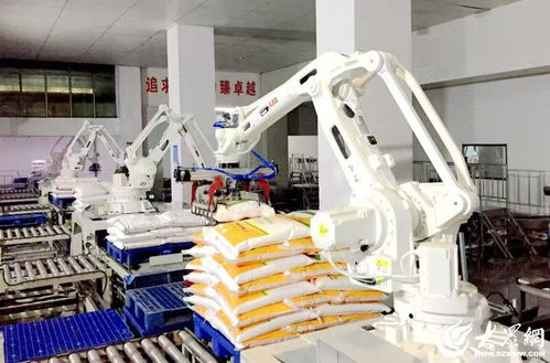 科技賦能，農(nóng)頭工尾 濰坊安丘新安街道鍛造健康食品產(chǎn)業(yè)黃金鏈條