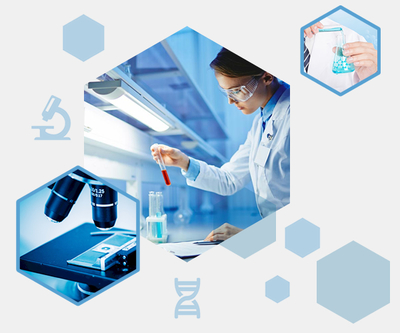 公司簡(jiǎn)介 - 生物科技新星